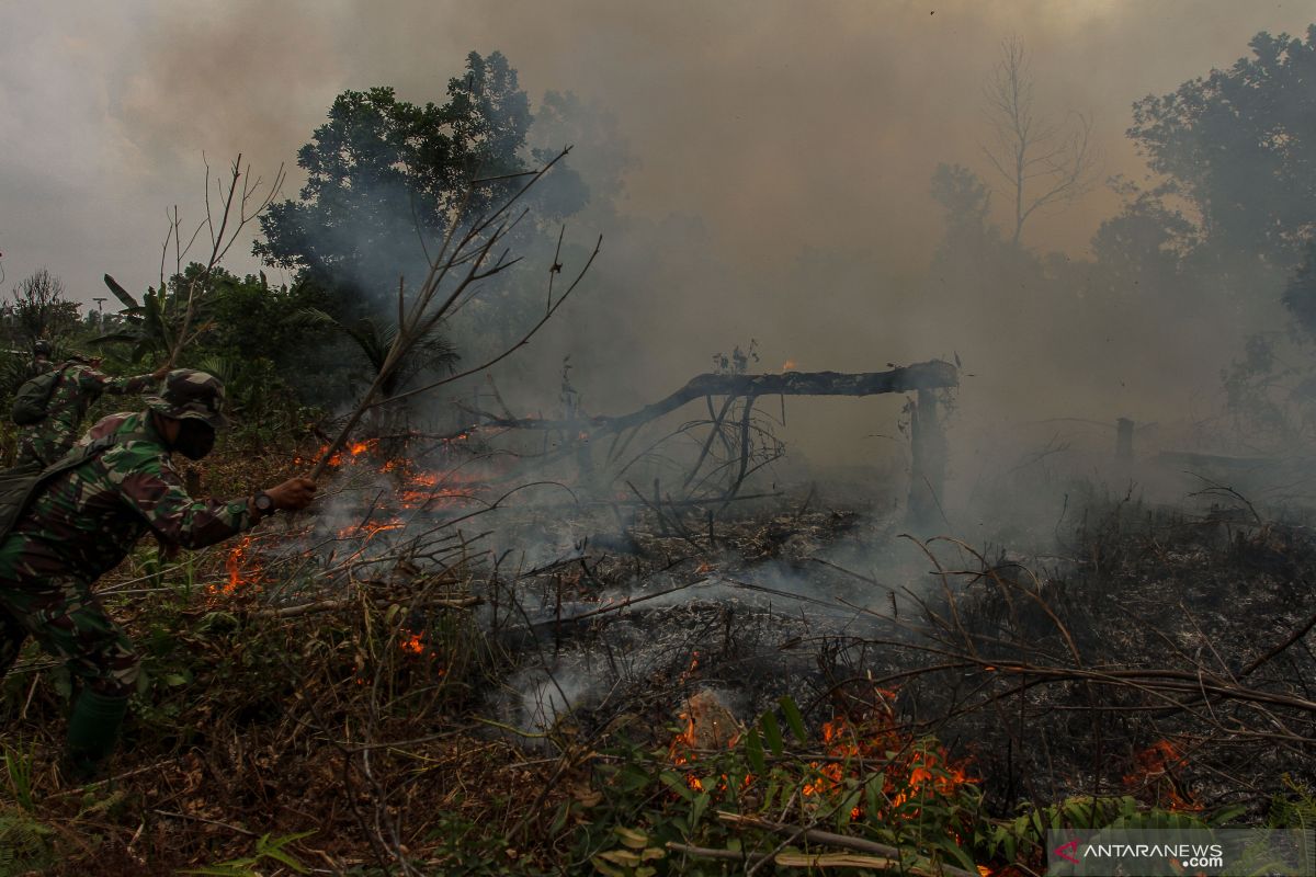 Gubernur nilai karhutla di Riau hanya padam oleh hujan