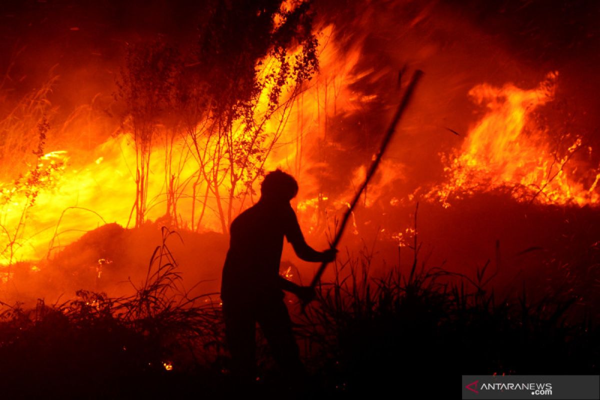 BNPB: Kebakaran hutan di Jatim sudah padam