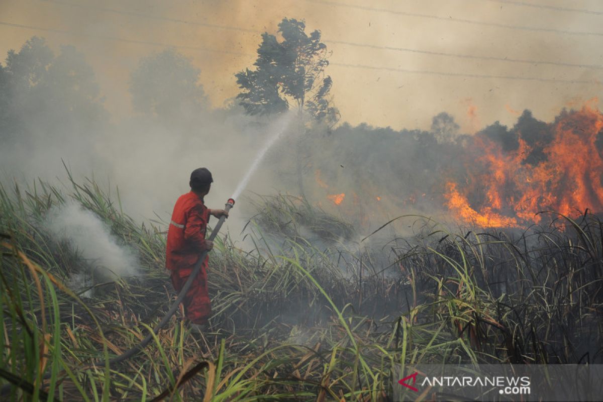 Operasi pembasahan gambut Sumsel rawan terbakar ditingkatkan BRG