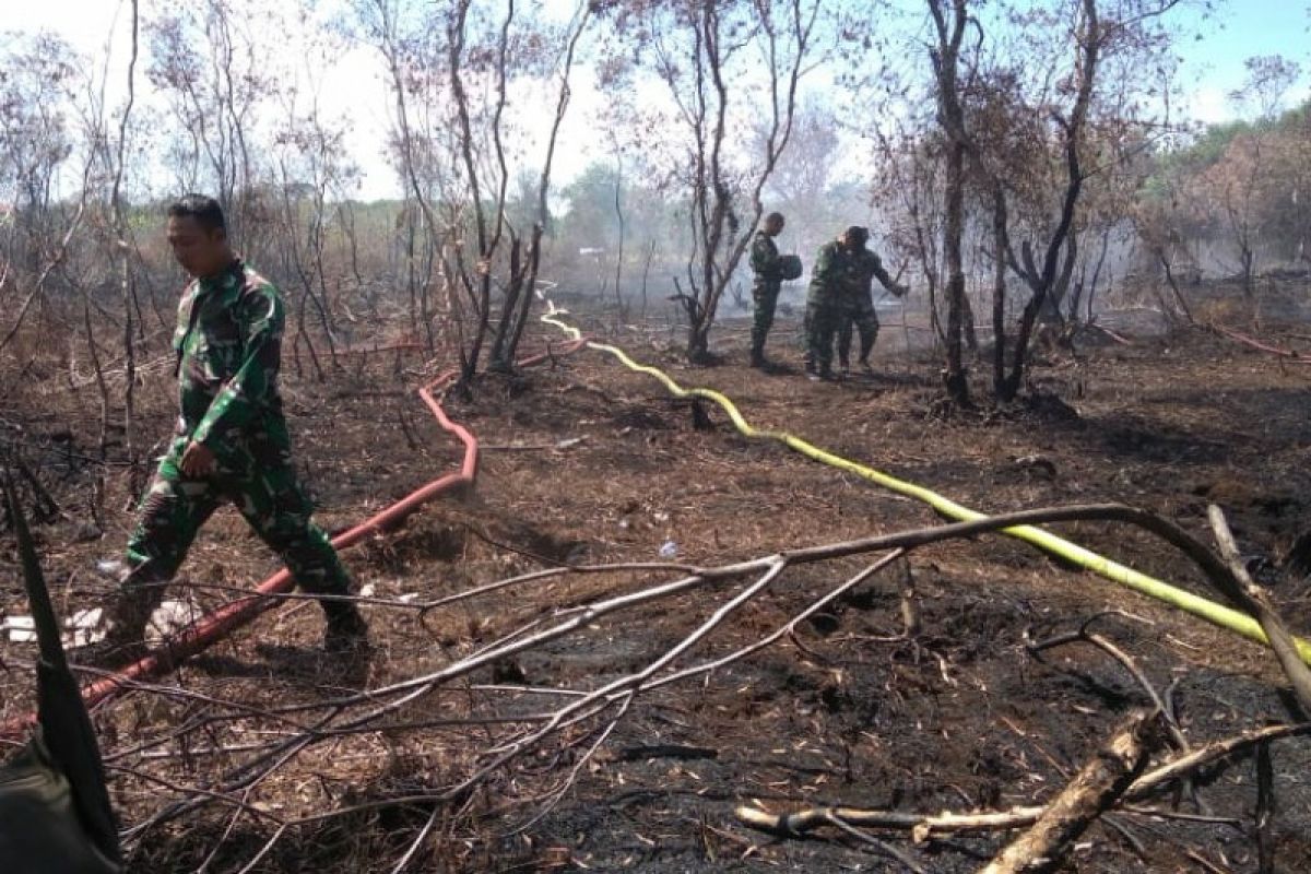 BMKG:  12 titik panas terpantau satelit di Aceh