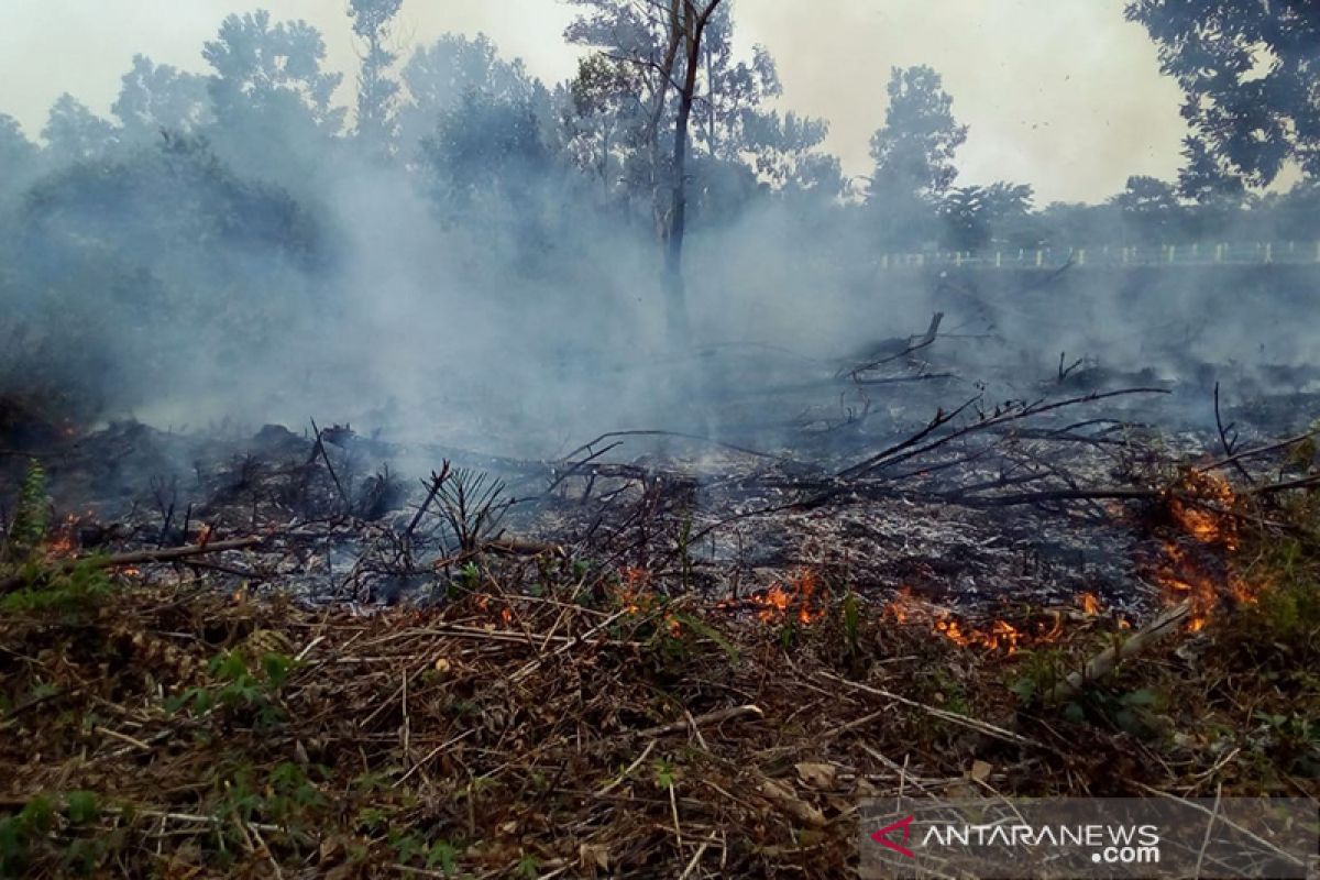 Karhutla muncul di pinggiran Kota Pekanbaru mengganggu pandangan