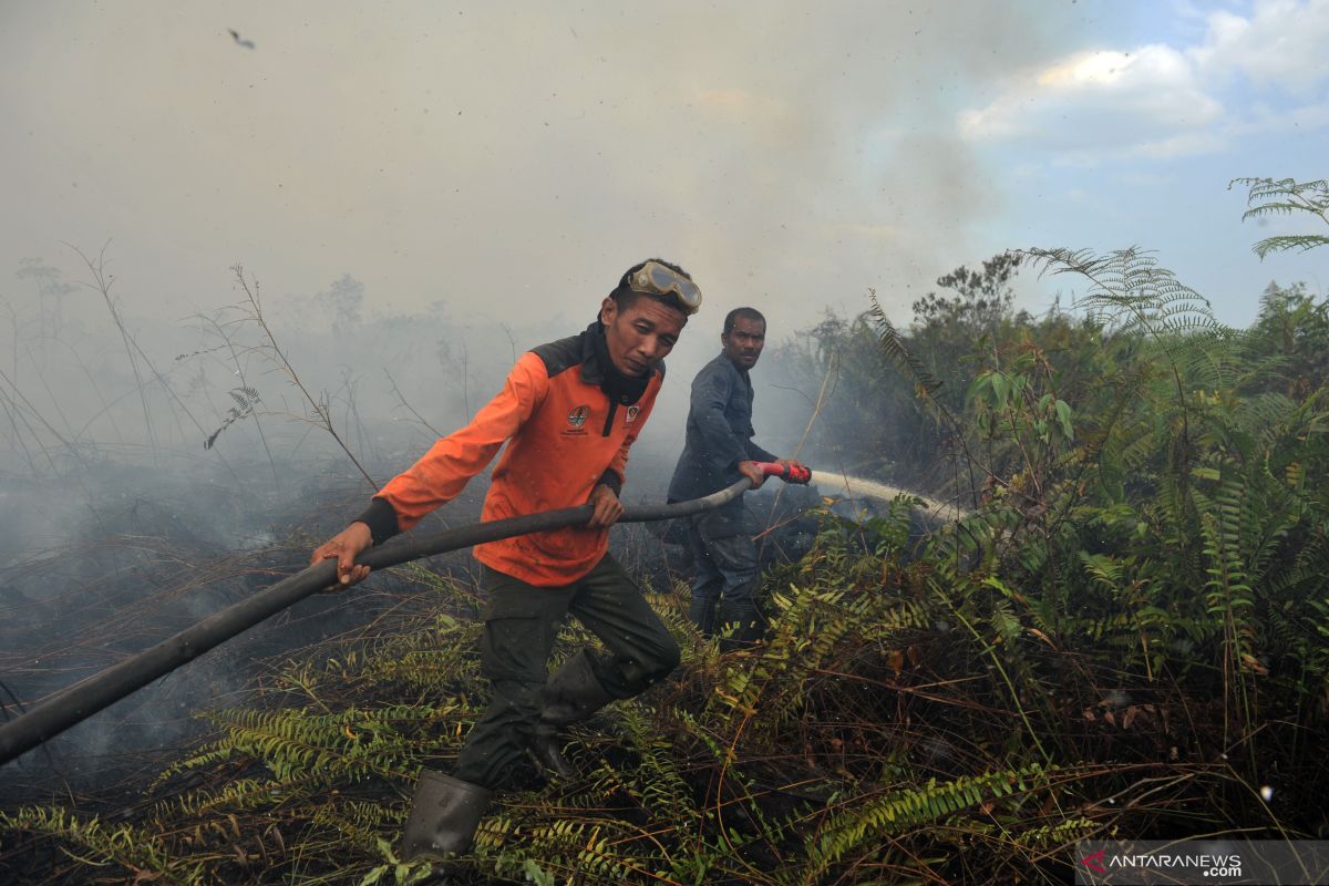 Sebagian ASEAN berpotensi sangat mudah terbakar dalam sepekan ke depan