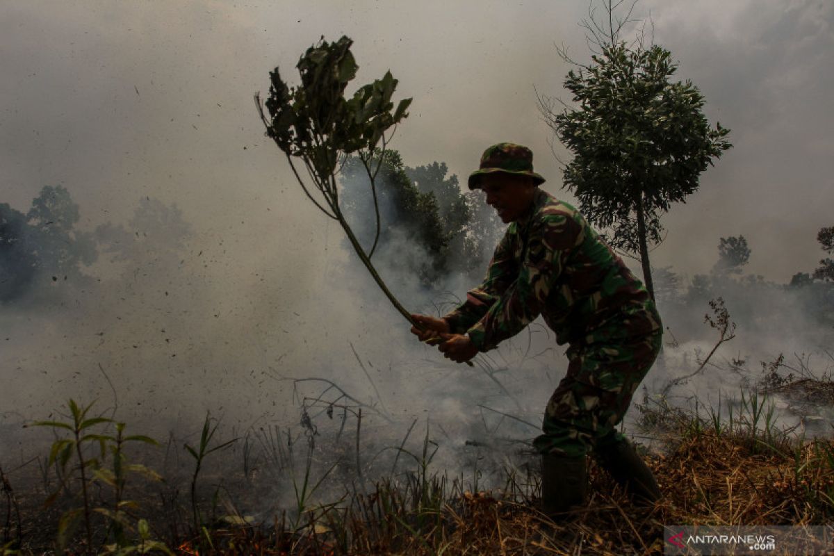 Regu Pemadam Karhutla Dumai Pendinginan Tiga Lokasi, begini penjelasannya