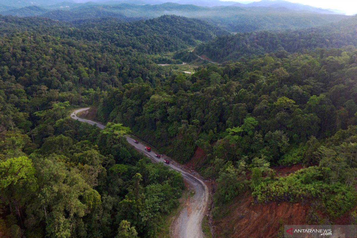 Pemerintah hentikan pemberian izin kelola baru hutan primer dan gambut