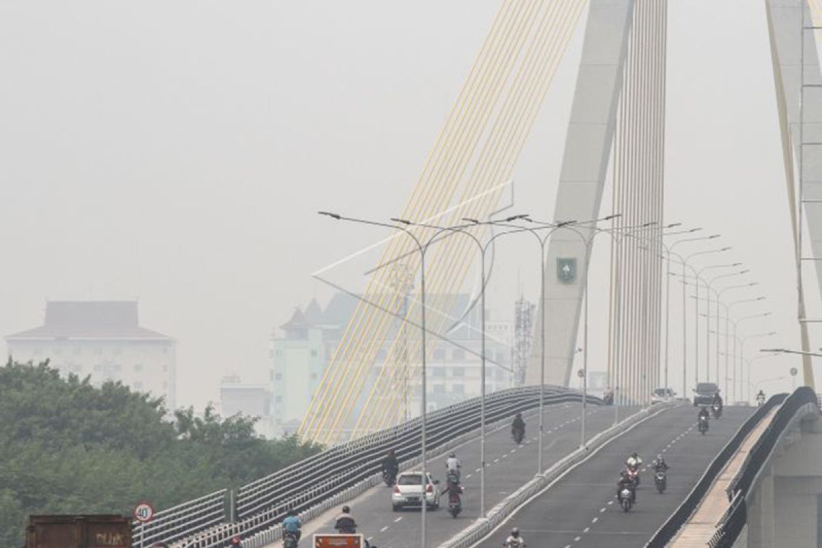 5 daerah di Riau diselimuti asap karhutla, begini penjelasannya