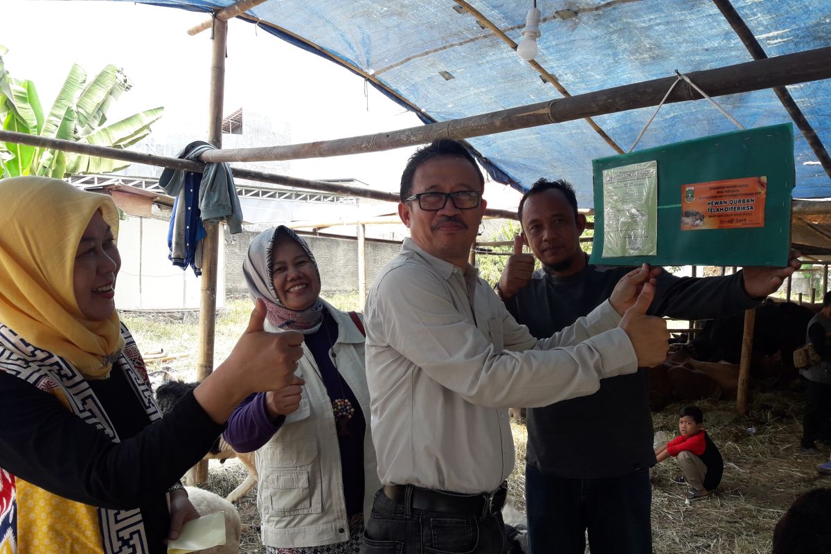 15 ribu hektare tanaman padi  kekeringan, Pemprov Banten bantu benih gratis