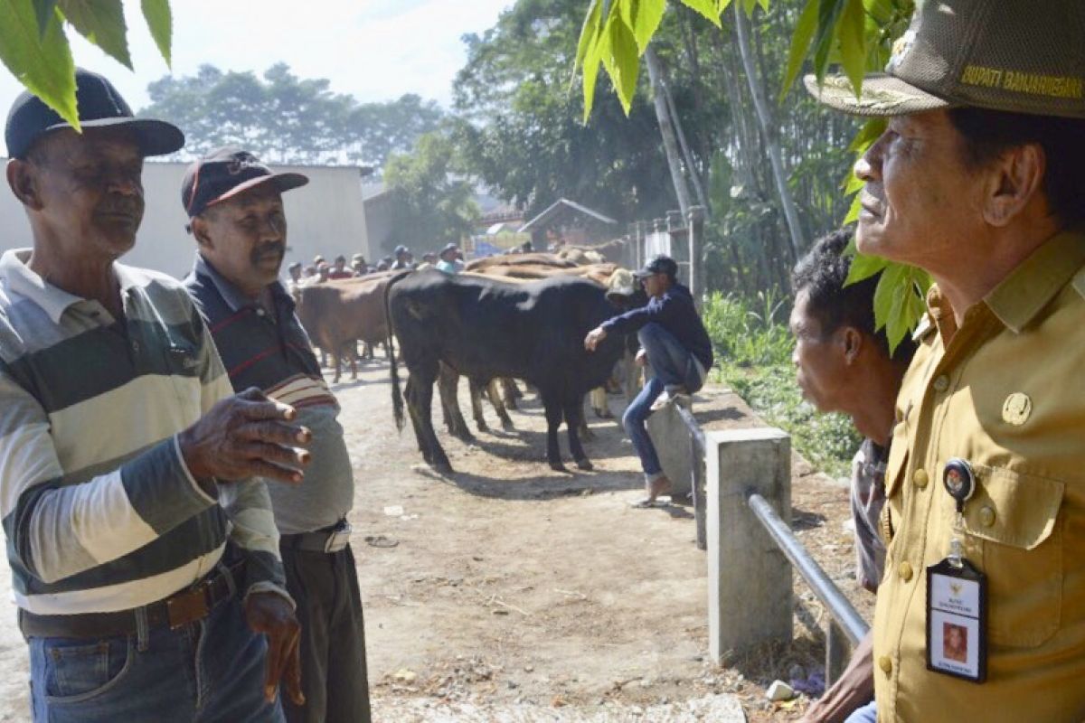 Pastikan kesehatan hewan kurban, Pemkab Banjarnegara sosialisasi hingga takmir