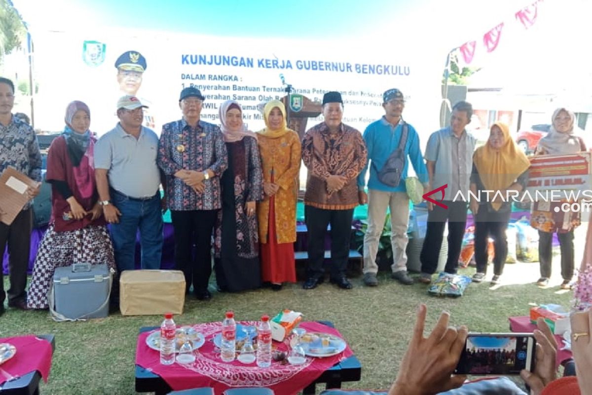 Gubernur Bengkulu berikan bantuan sapi kepada Poktan Mukomuko