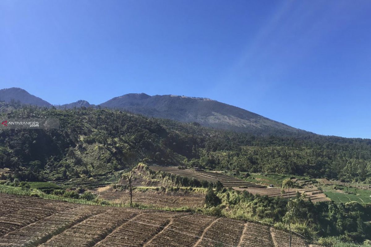 Status tanggap darurat kebakaran hutan Gunung Arjuno dicabut