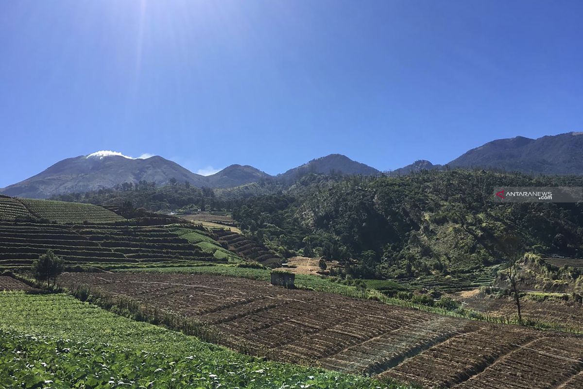 Tahura R Soerjo inventarisasi kerusakan hutan Gunung Arjuno pasca-kebakaran