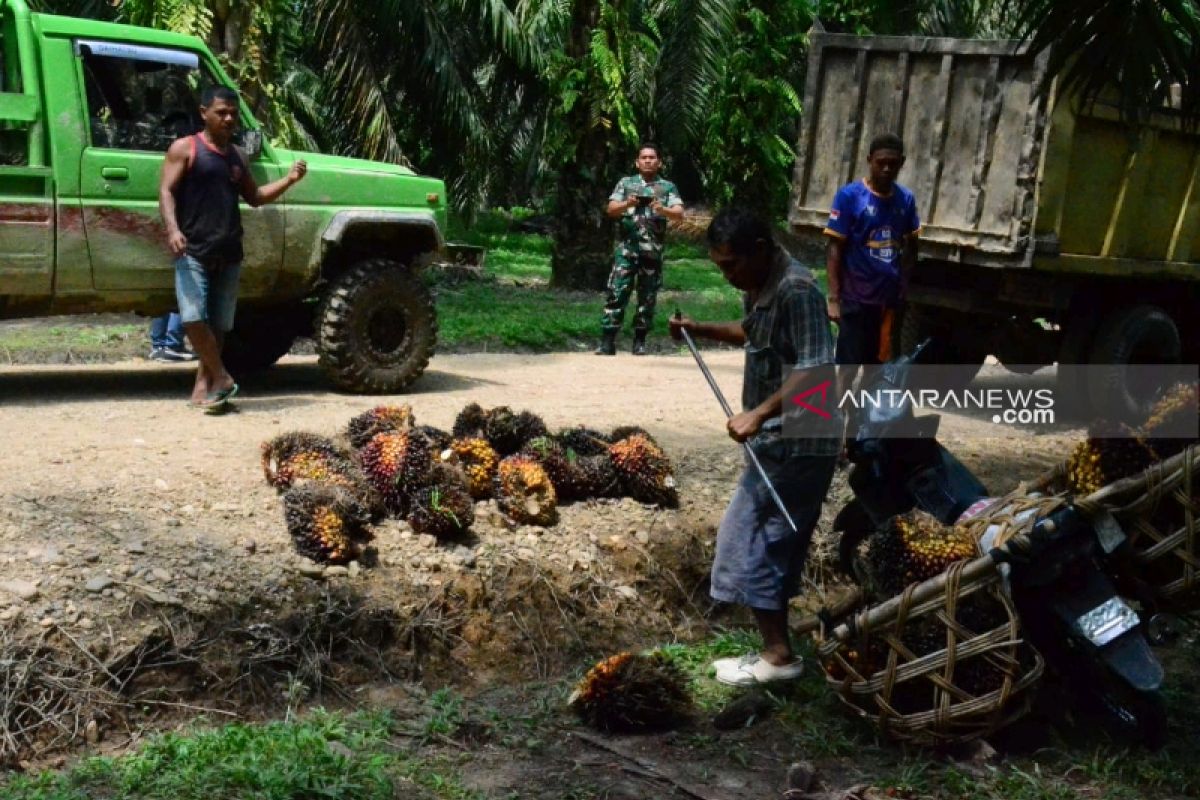 Warga Hutaraja Lamo sudah bisa melewati jalan TMMD