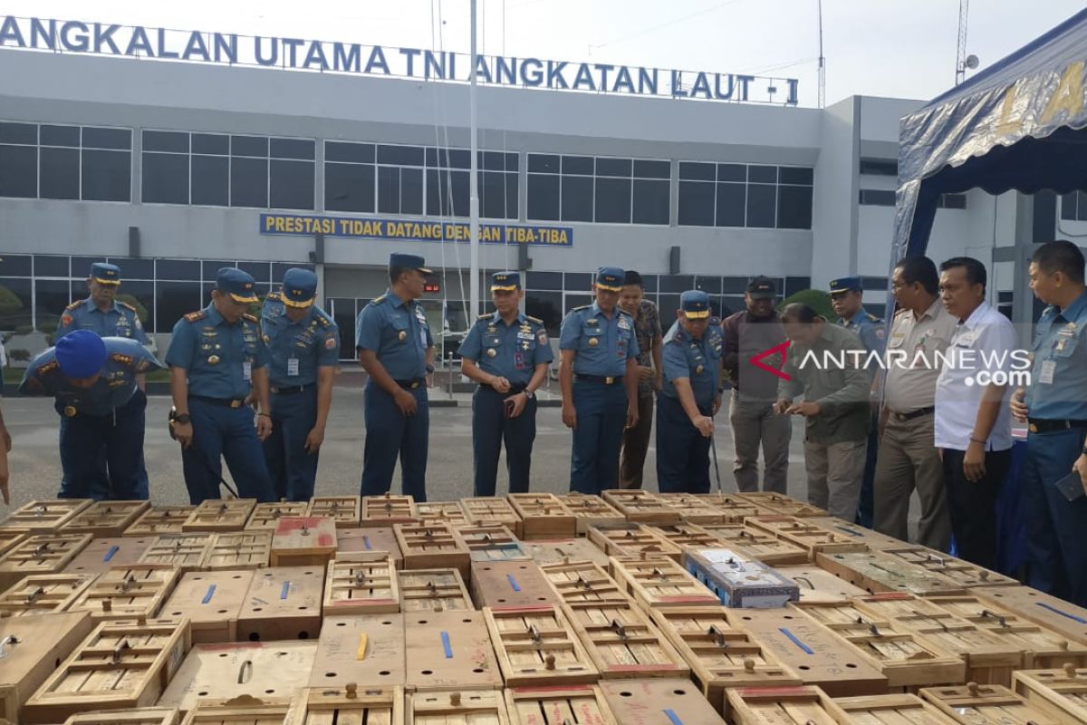 Penyelundupan puluhan ayam adu ilegal asal Thailand digagalkan