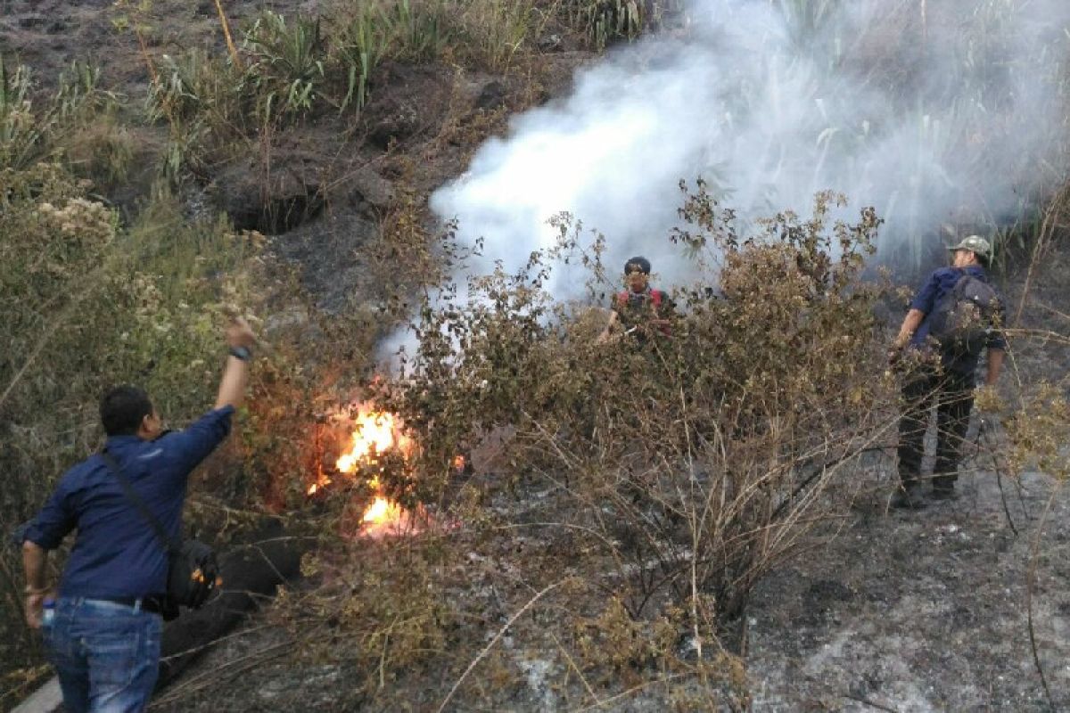 BPBD: Hutan di Garut rawan kebakaran saat kemarau