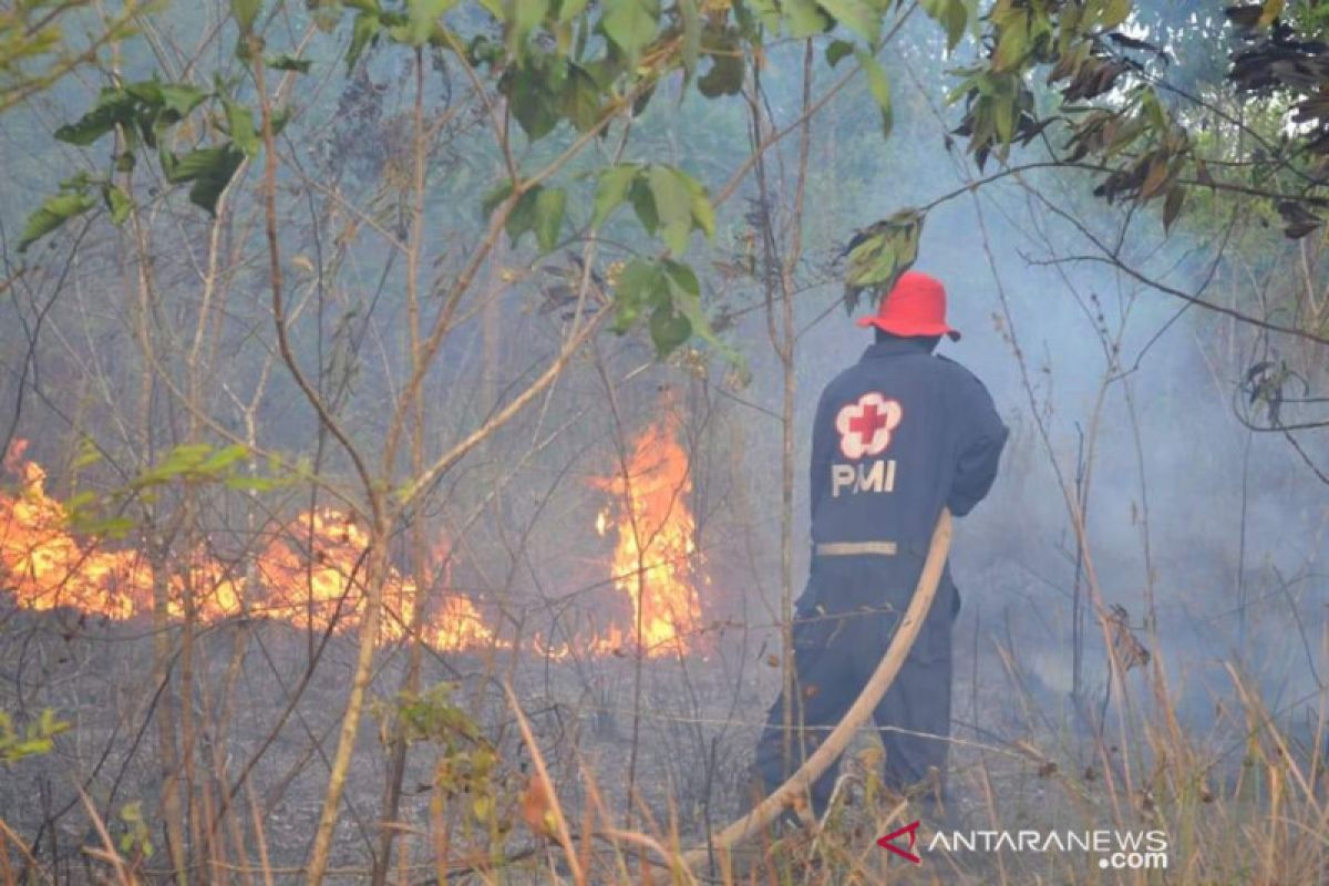 Relawan PMI dikerahkan bantu padamkan karhutla di Banjar Kalsel