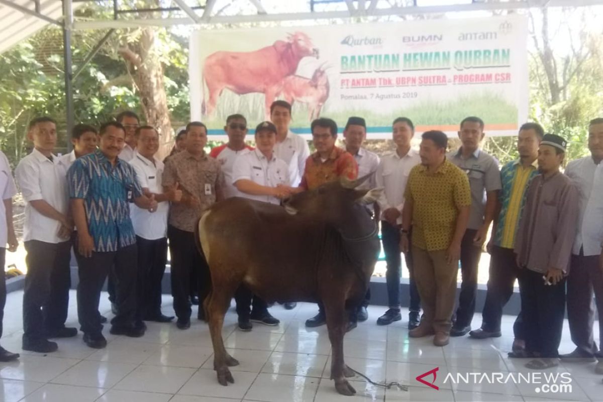 Antam serahkan bantuan hewan kurban