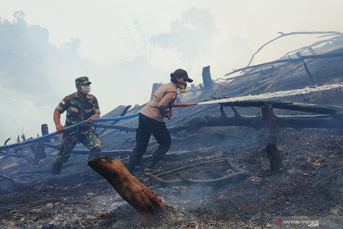 6 provinsi jadi fokus penanganan karhutla, termasuk Kalteng