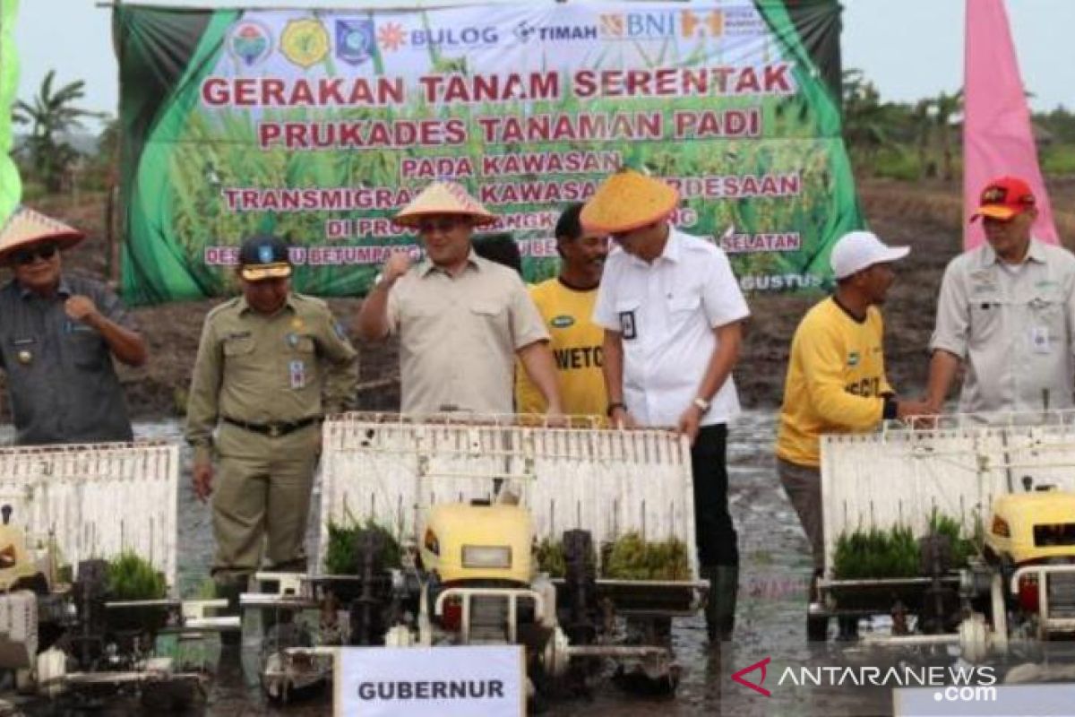 Gubernur Babel canangkan gerakan tanam padi serentak