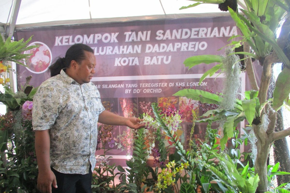 Peluang usaha tanaman anggrek masih luas