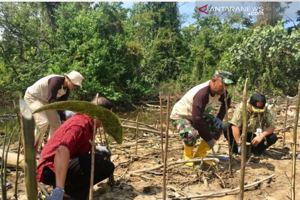 PT BIB tanam 3000 pohon mangrove sukseskan program ekowisata