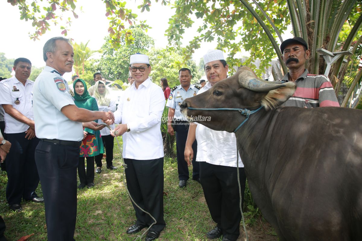 Pemprov Sumbang Hewan Qurban ke Lapas Tarakan dan Nunukan