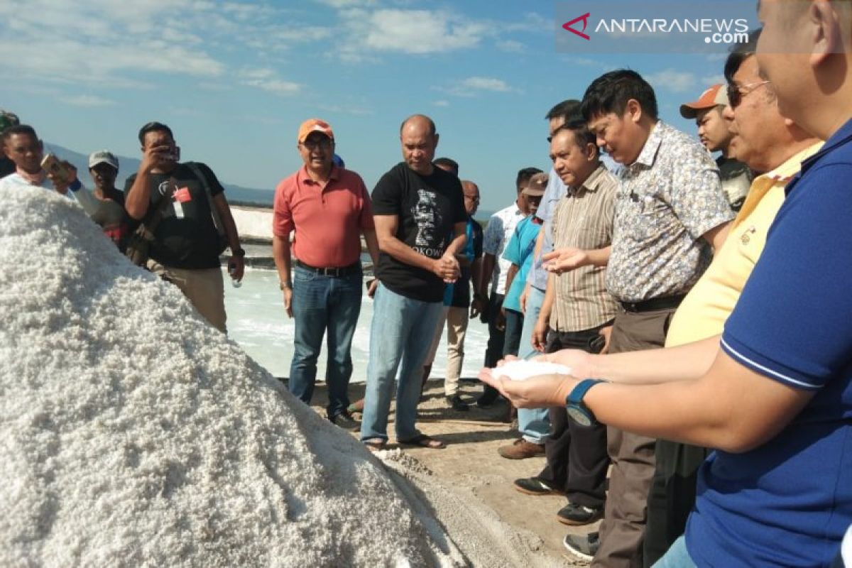 Presiden Jokowi akan panen garam di Teluk Kupang