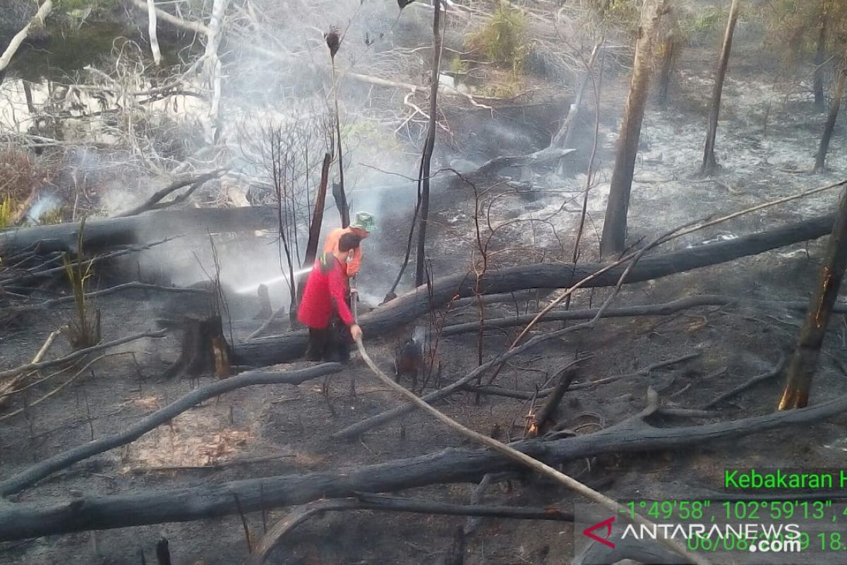 People affected by forest fires should avoid outdoor activities