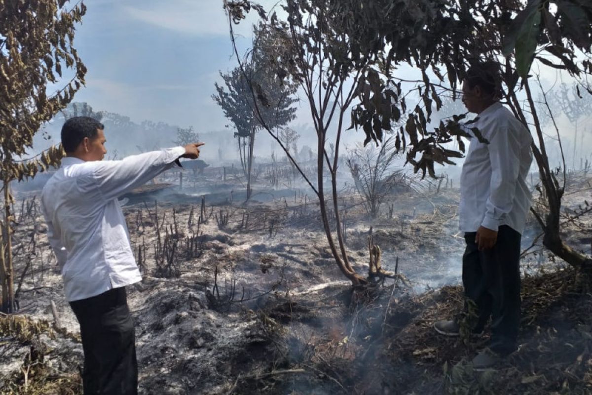BMKG: Angin kencang pemicu kebakaran cepat meluas di Aceh
