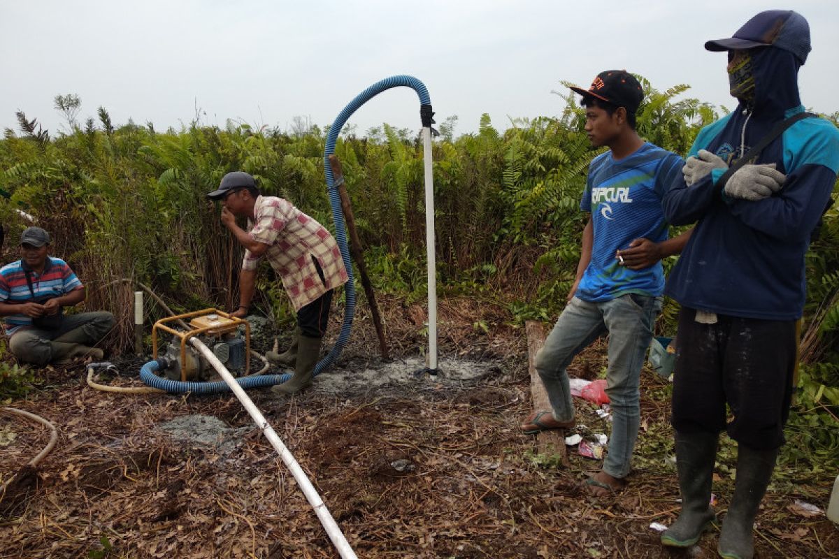 Cegah karhutla, BRG bangun 50 sumur di lahan gambut Tanjungjabung Timur