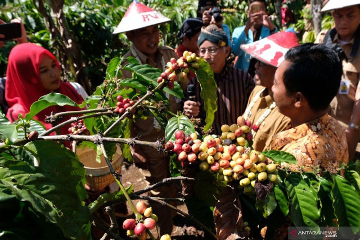 Kalteng maksimalkan lahan untuk pengembangan komoditas pertanian