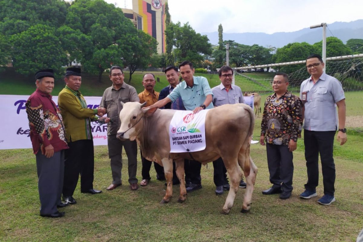 Idul Adha, Semen Padang salurkan bantuan 36 hewan kurban