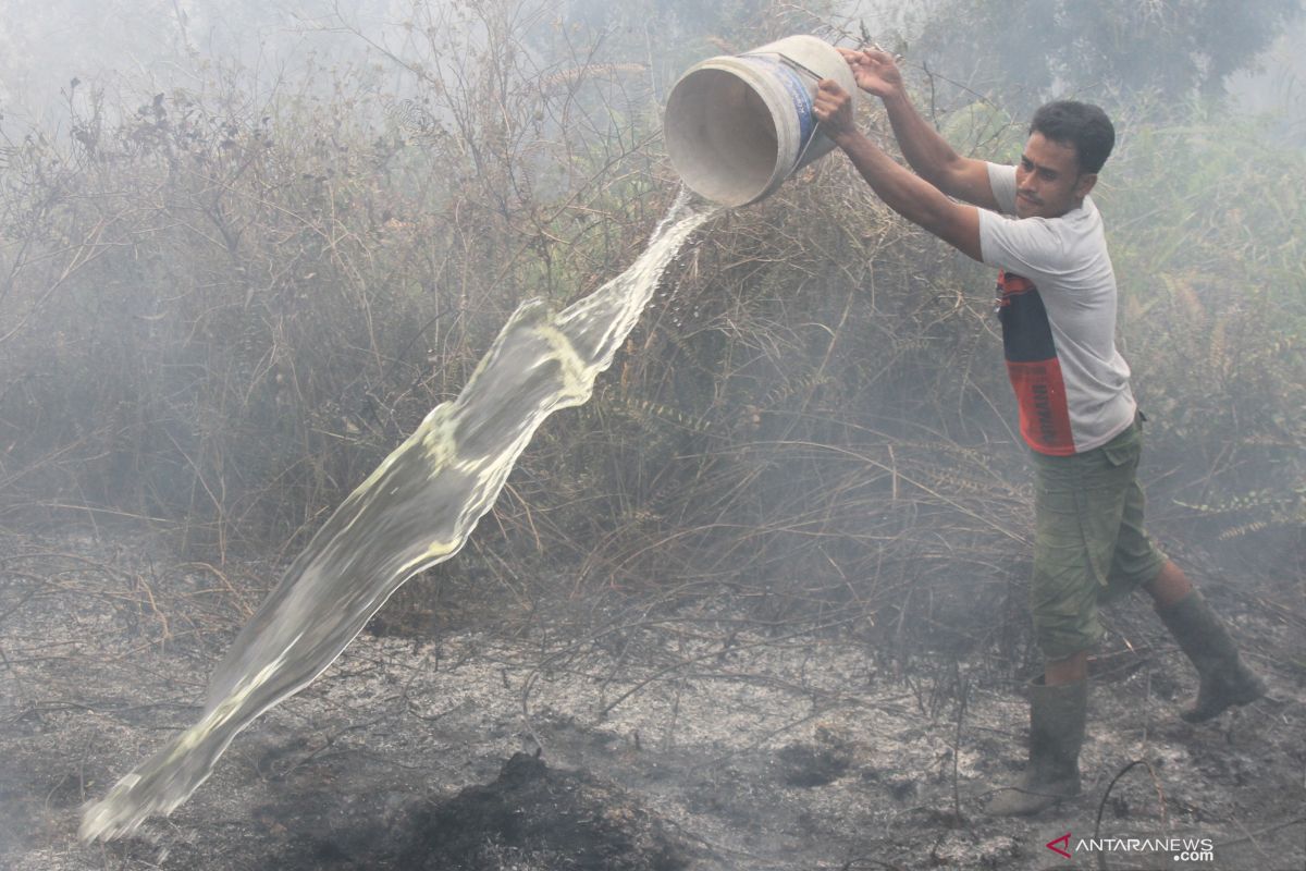 CIFOR: Masyarakat butuh contoh nyata pembukaan lahan tanpa bakar