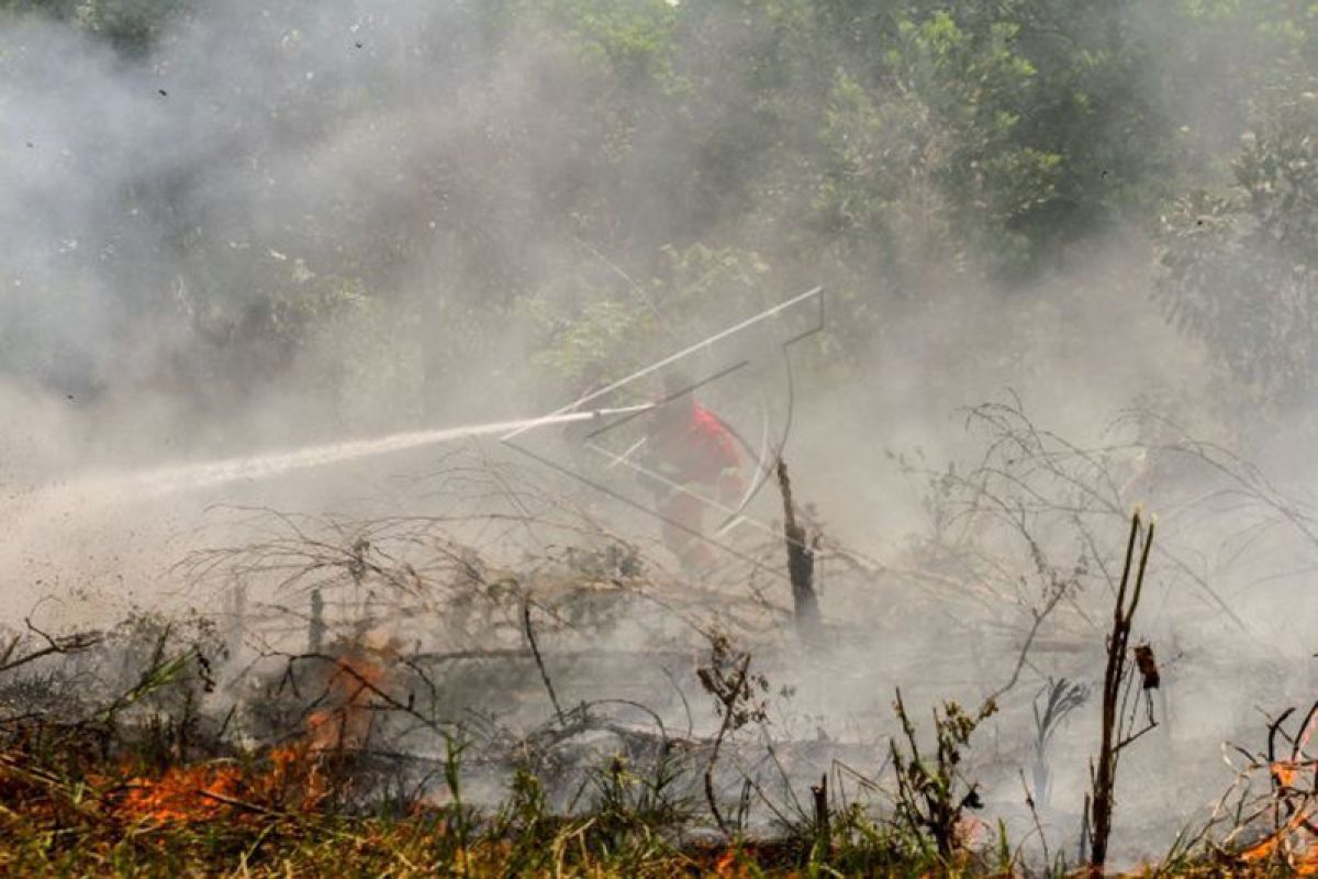 112 titik panas indikasi Karhutla tersebar di Sumatera terutama di Riau