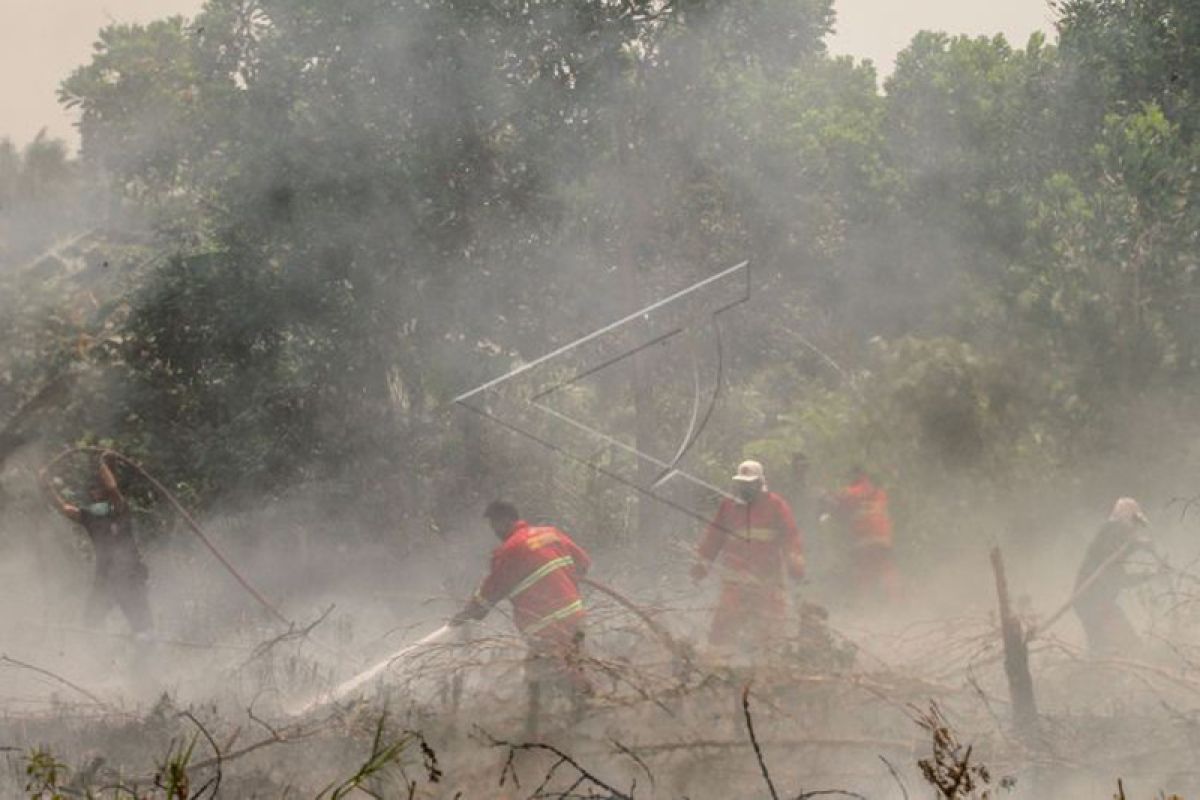 Asap karhutla membuat jarak pandang di Riau memburuk