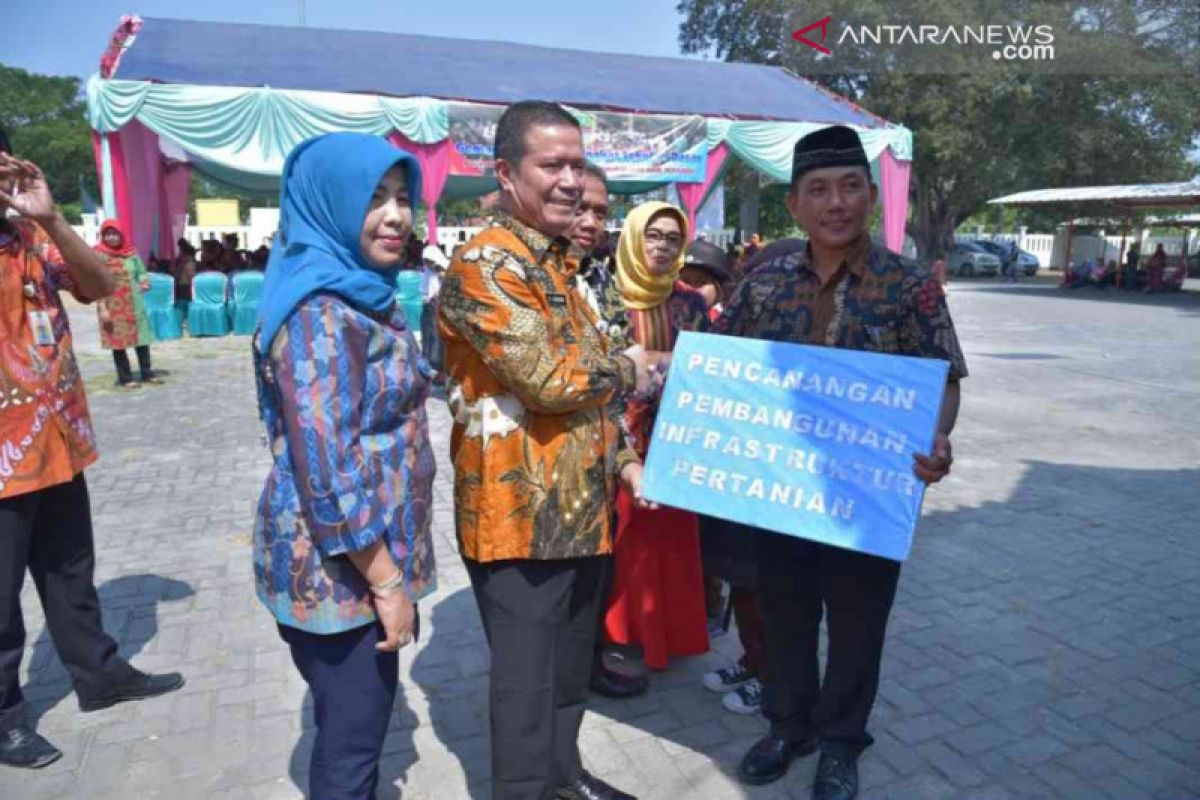 Penanaman padi gogo di Bekasi diperluas jadi 19.000 hektare