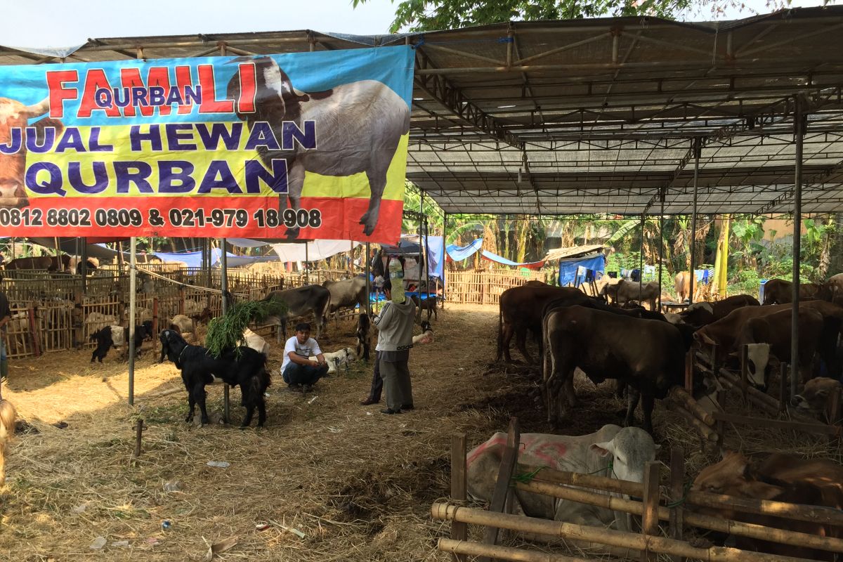 Peluang bisnis pakan ternak di Jakarta