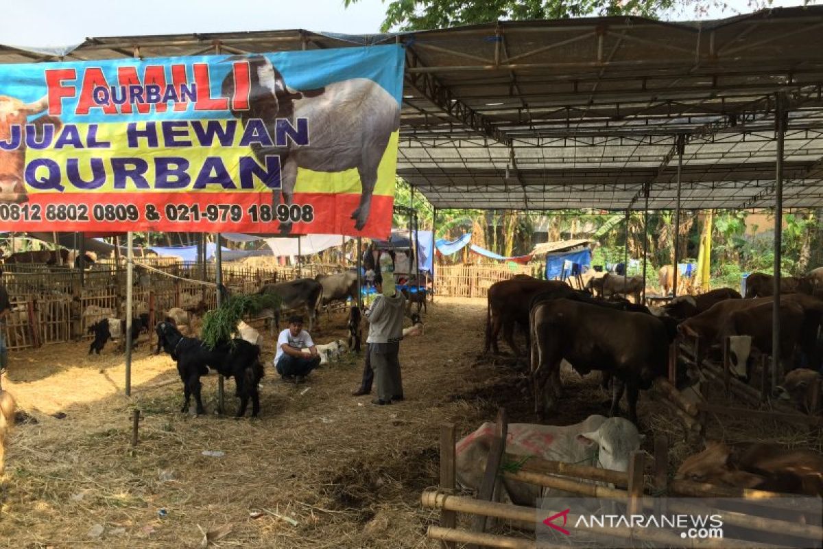 Anies Baswedan kasih diskresi soal lokasi jual hewan kurban