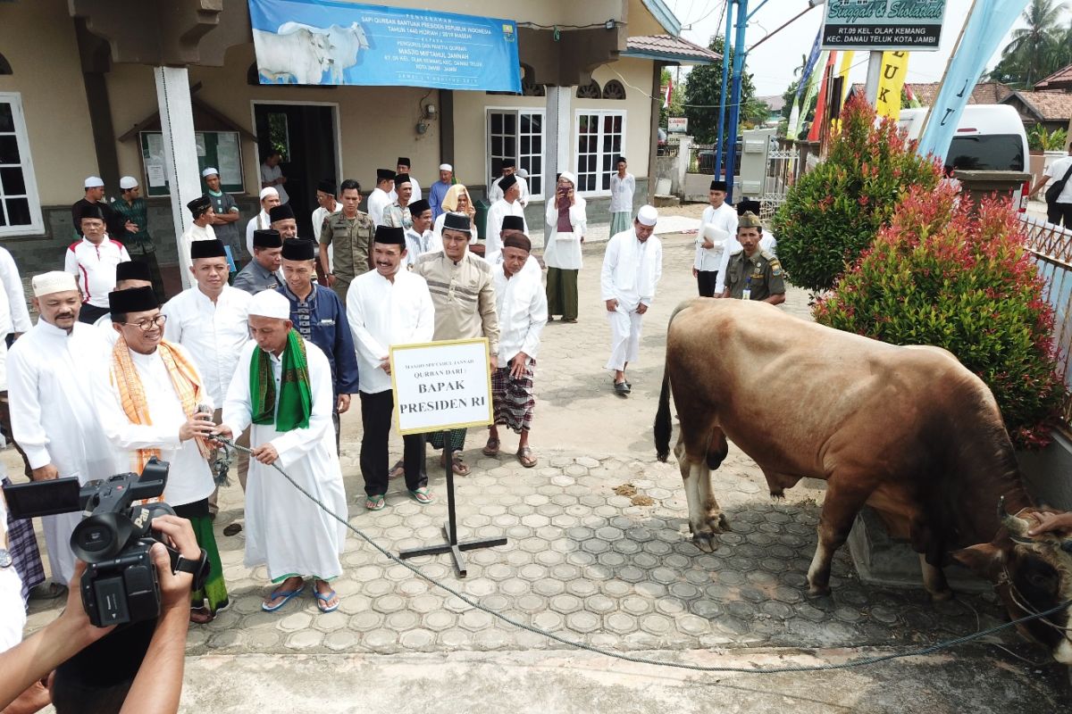 Gubernur serahkan sapi kurban Presiden berbobot 850 kilogram ke masyarakat