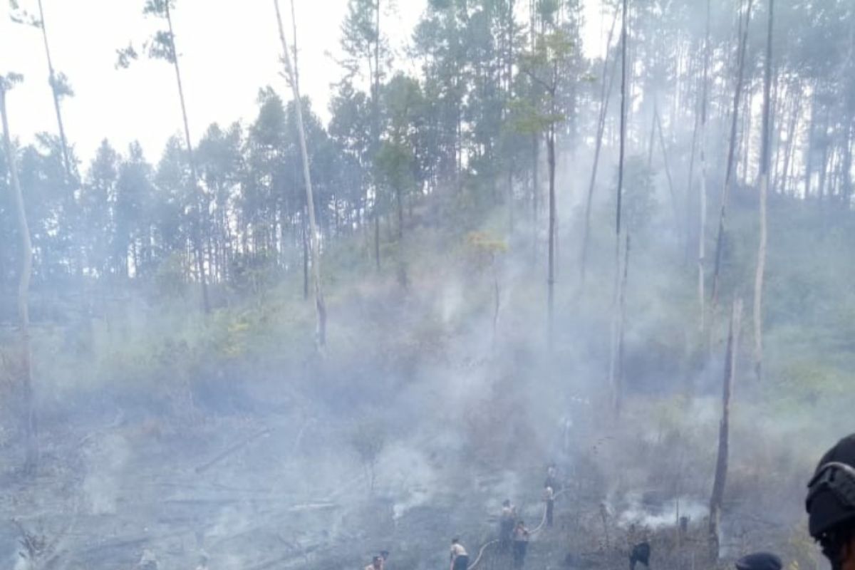 BMKG: 16 titik panas muncul di Aceh