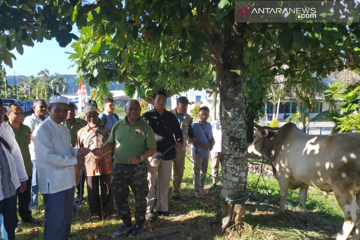 Gubernur Dominggus Mandacan serahkan 63 hewan kurban