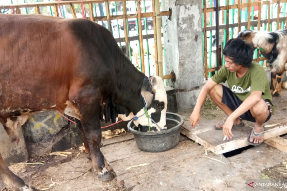 Camat Tanah Abang siapkan truk sampah pedagang hewan di trotoar