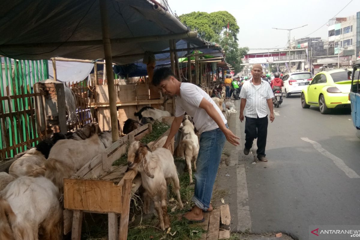 Trotoar dipenuhi pedagang hewan, pejalan kaki kritisi pemkot