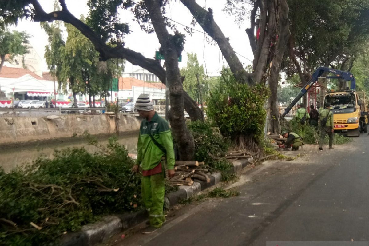 Wali Kota Jakpus ikut lomba dayung 17-an di Kali Pasar Baru