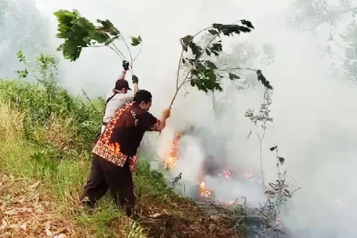 Polda Riau berikan sinyal kembali tetapkan korporasi pembakar lahan