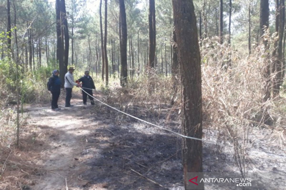 SAR Linmas Kaliurang waspadai karhutla sisi selatan Gunung Merapi