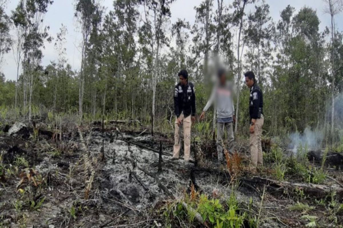 Polisi tangkap seorang terduga pembakar lahan di Barito Selatan