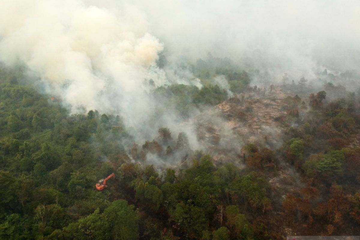 Dansatgas Karhutla : Lahan gambut di Jambi masih menyimpan bara api