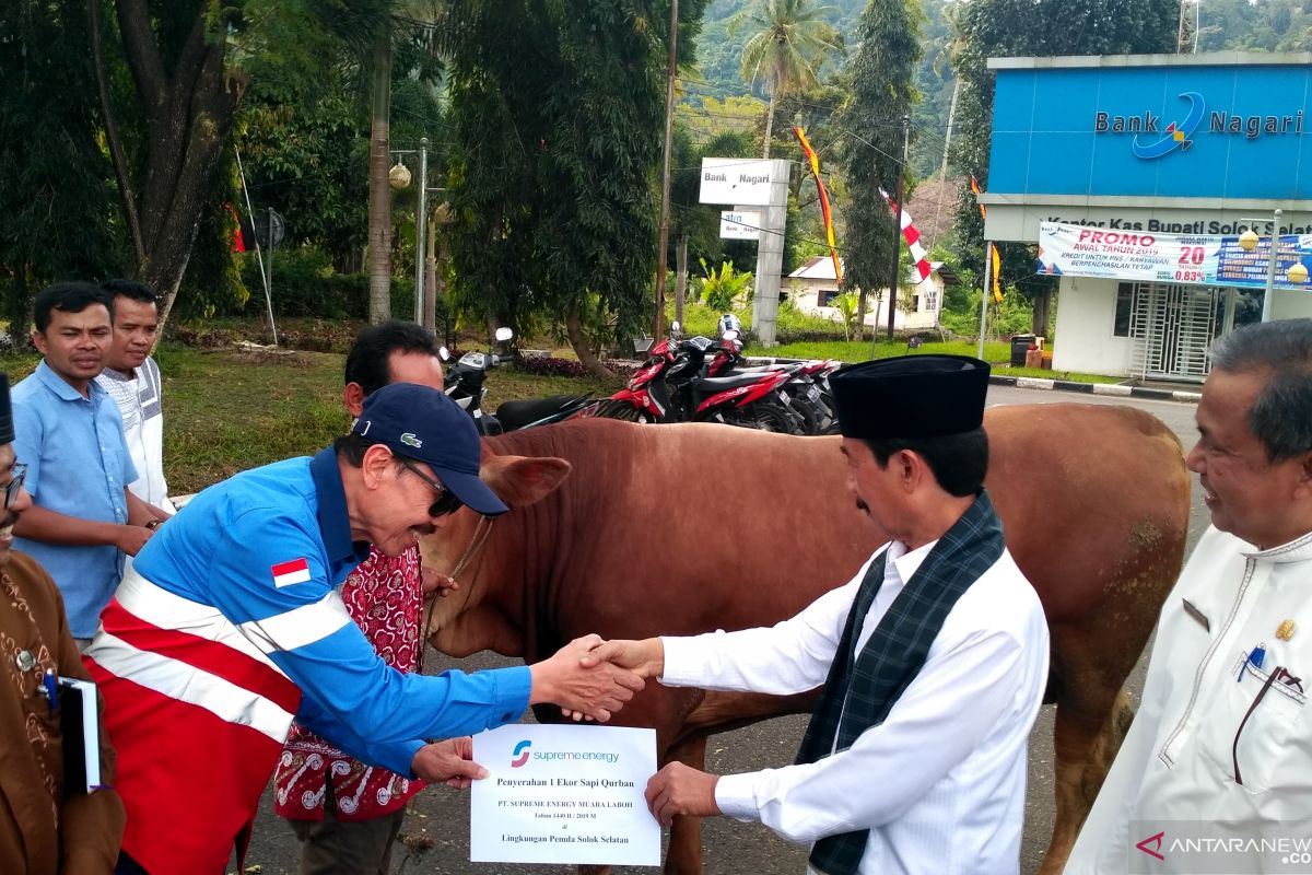 Solok Selatan bagikan hewan kurban kepada masyarakat