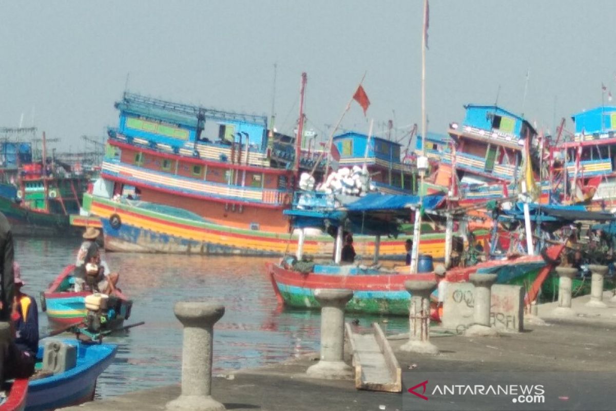 Ombak besar, hasil lelang di TPI Pekalongan merosot