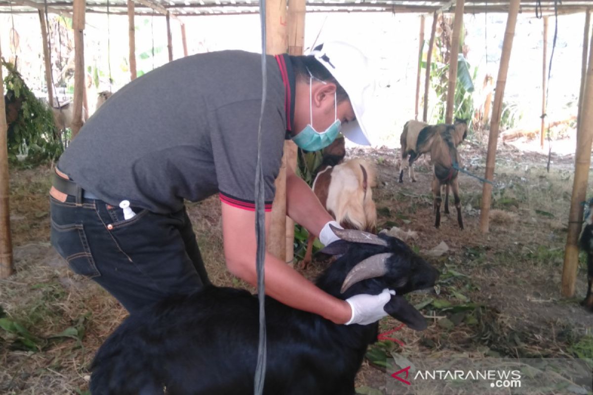 Intensifkan pemeriksaan hewan kurban, Surakarta terjunkan 50 personel