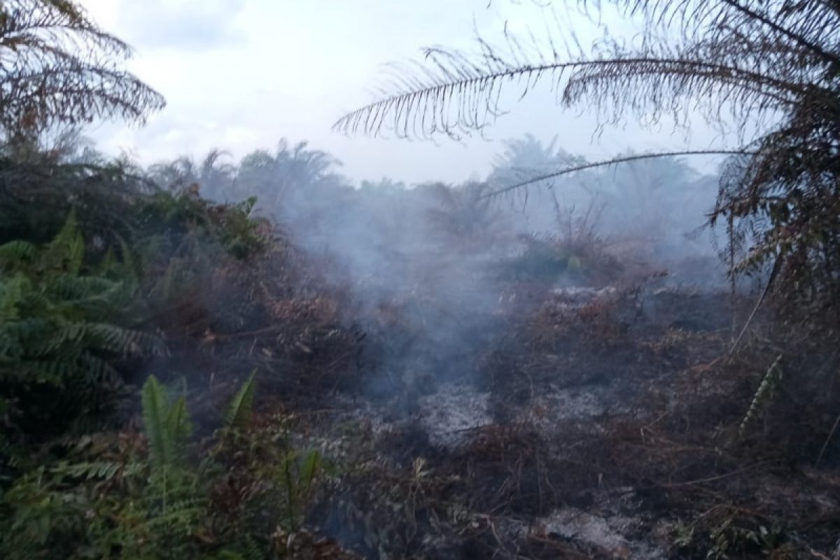 BMKG: Hujan padamkan kebakaran lahan di  Aceh